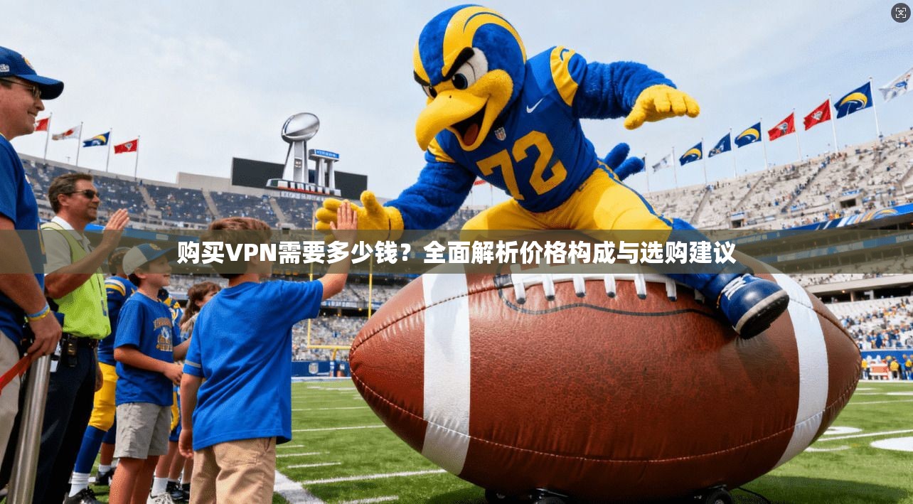 购买VPN需要多少钱？全面解析价格构成与选购建议