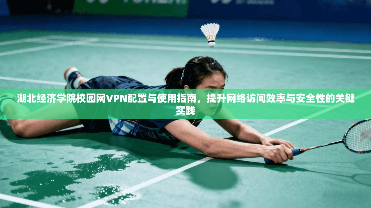湖北经济学院校园网VPN配置与使用指南,提升网络访问效率与安全性的关键实践