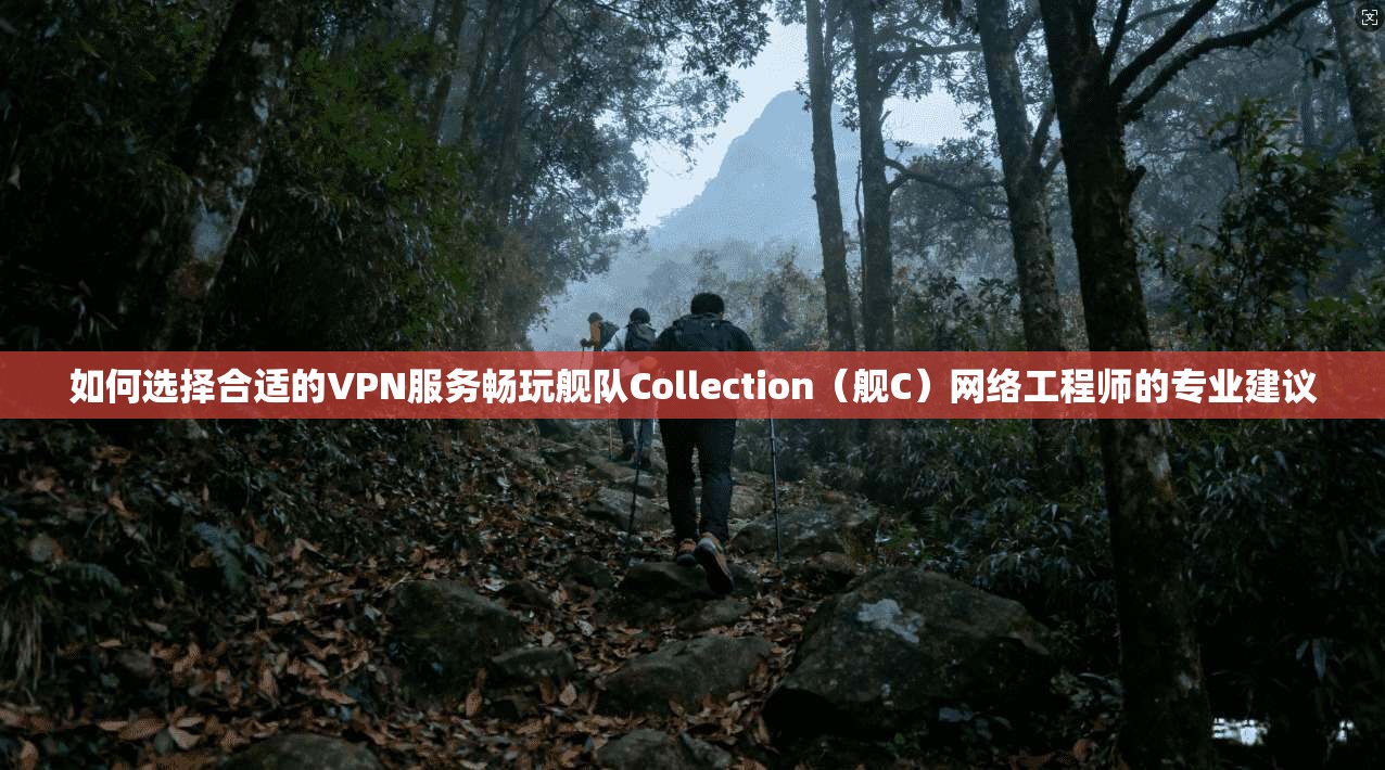 如何选择合适的VPN服务畅玩舰队Collection（舰C）网络工程师的专业建议