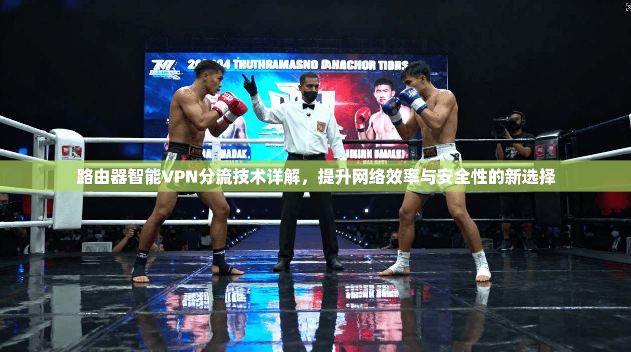 路由器智能VPN分流技术详解,提升网络效率与安全性的新选择