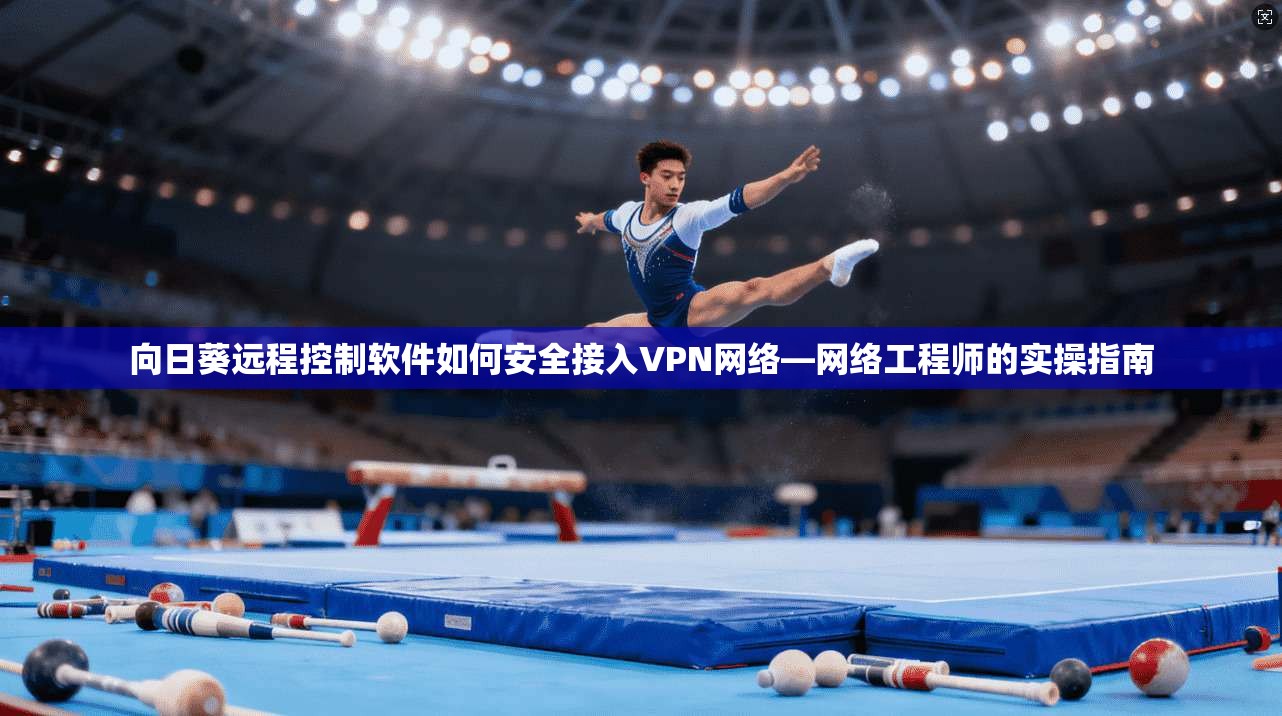 向日葵远程控制软件如何安全接入VPN网络—网络工程师的实操指南