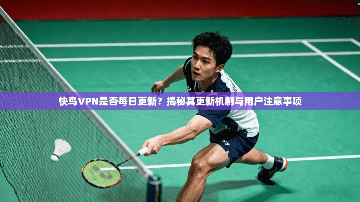 快鸟VPN是否每日更新？揭秘其更新机制与用户注意事项