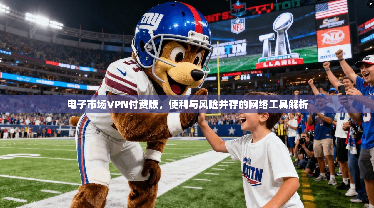 电子市场VPN付费版,便利与风险并存的网络工具解析