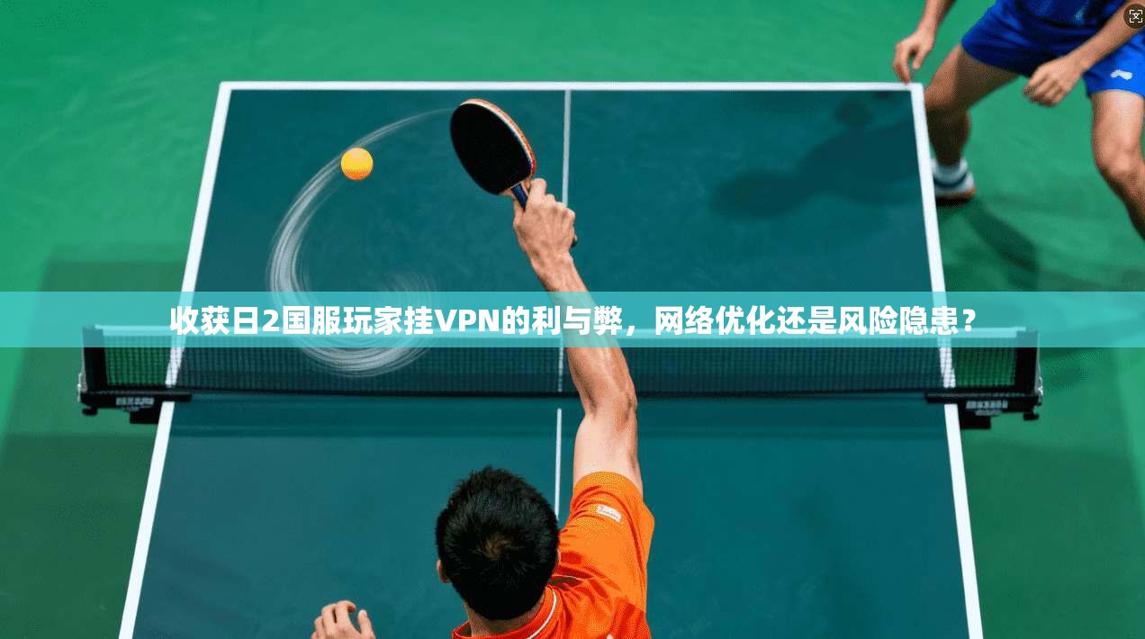 收获日2国服玩家挂VPN的利与弊,网络优化还是风险隐患?