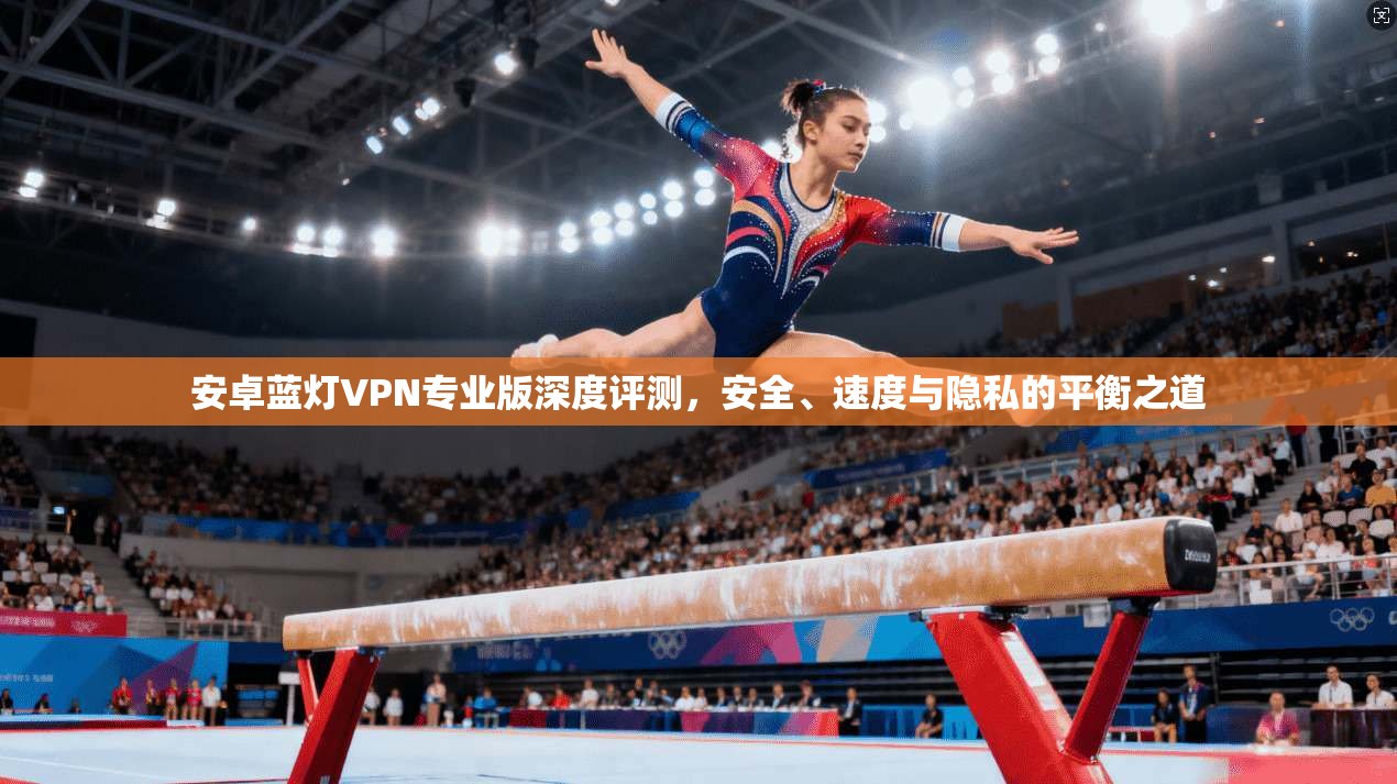 安卓蓝灯VPN专业版深度评测，安全、速度与隐私的平衡之道