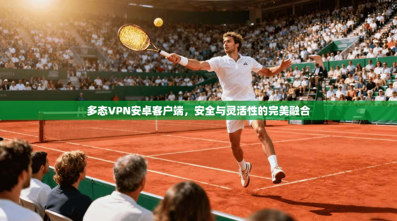 多态VPN安卓客户端，安全与灵活性的完美融合