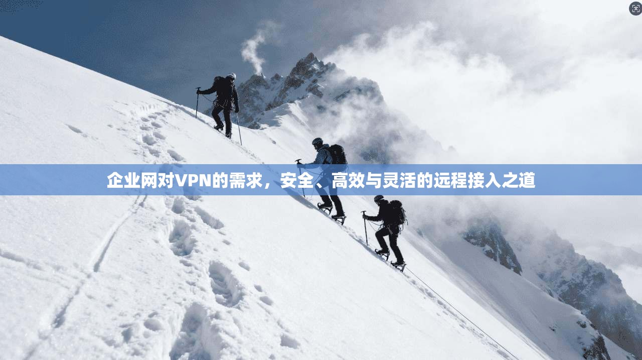 企业网对VPN的需求,安全、高效与灵活的远程接入之道