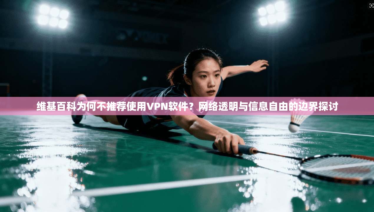 维基百科为何不推荐使用VPN软件？网络透明与信息自由的边界探讨
