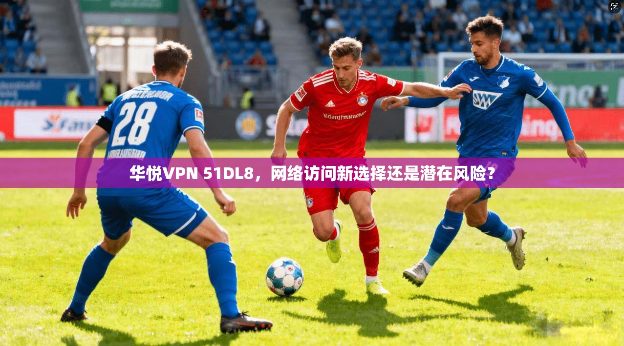 华悦VPN 51DL8，网络访问新选择还是潜在风险？