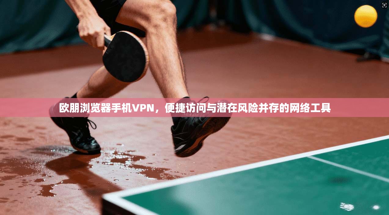 欧朋浏览器手机VPN，便捷访问与潜在风险并存的网络工具