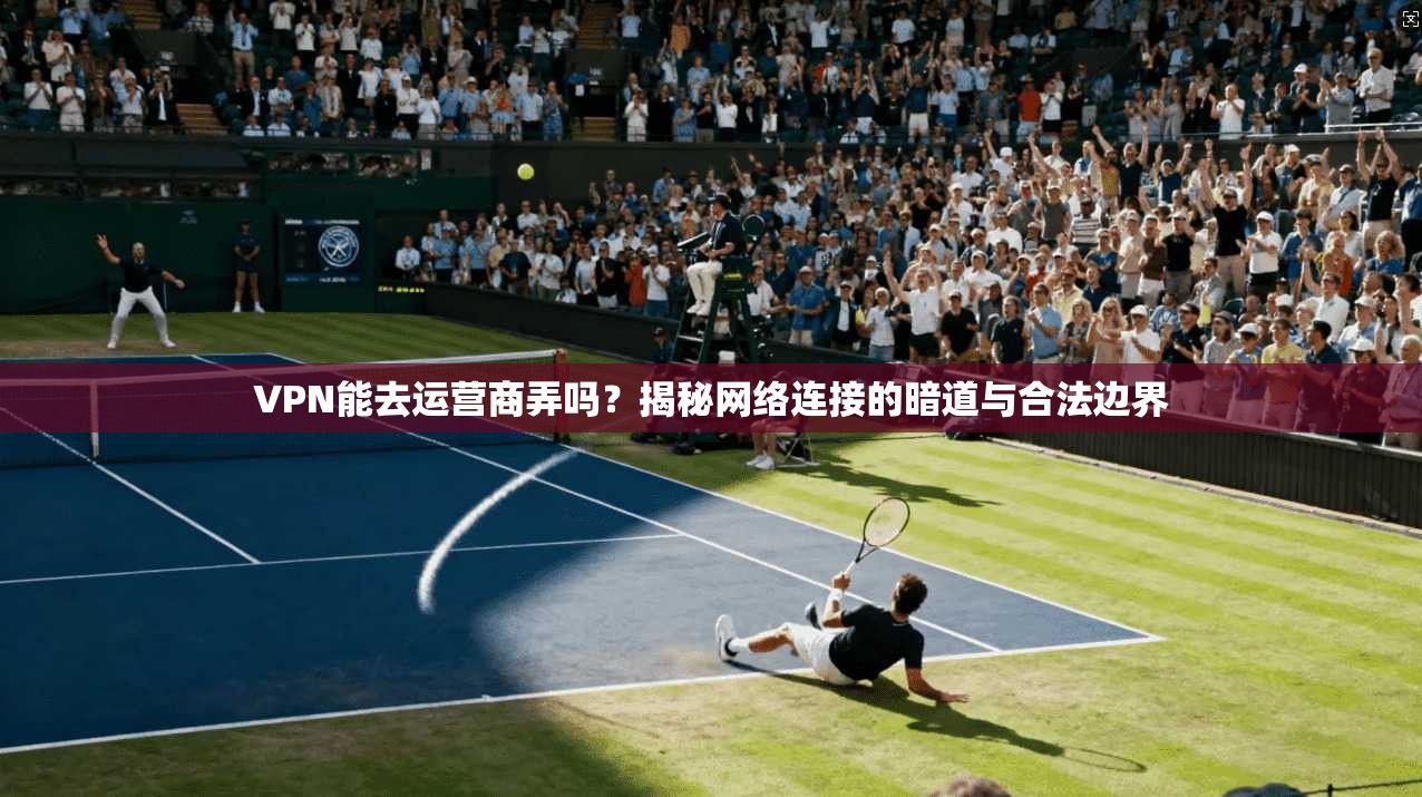 VPN能去运营商弄吗？揭秘网络连接的暗道与合法边界