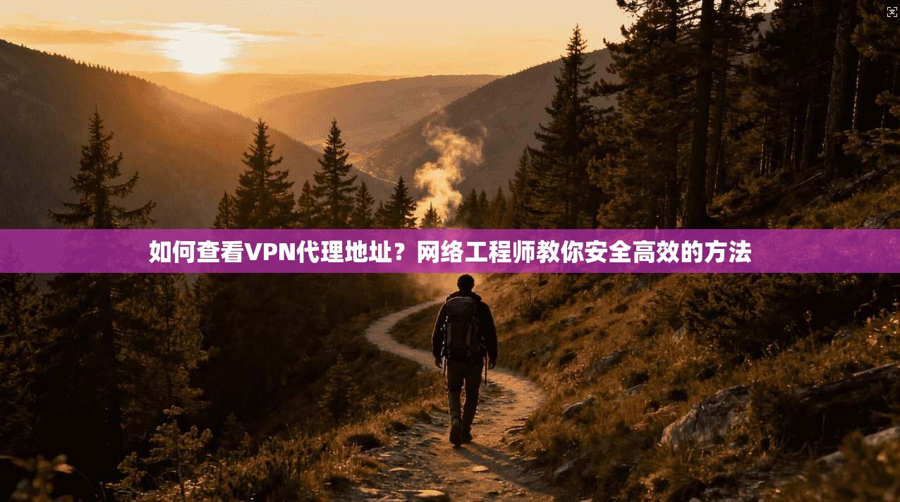 如何查看VPN代理地址？网络工程师教你安全高效的方法