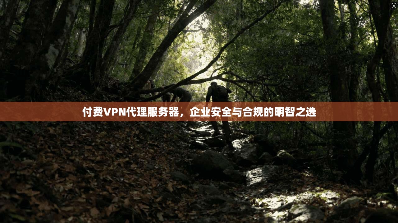 付费VPN代理服务器,企业安全与合规的明智之选