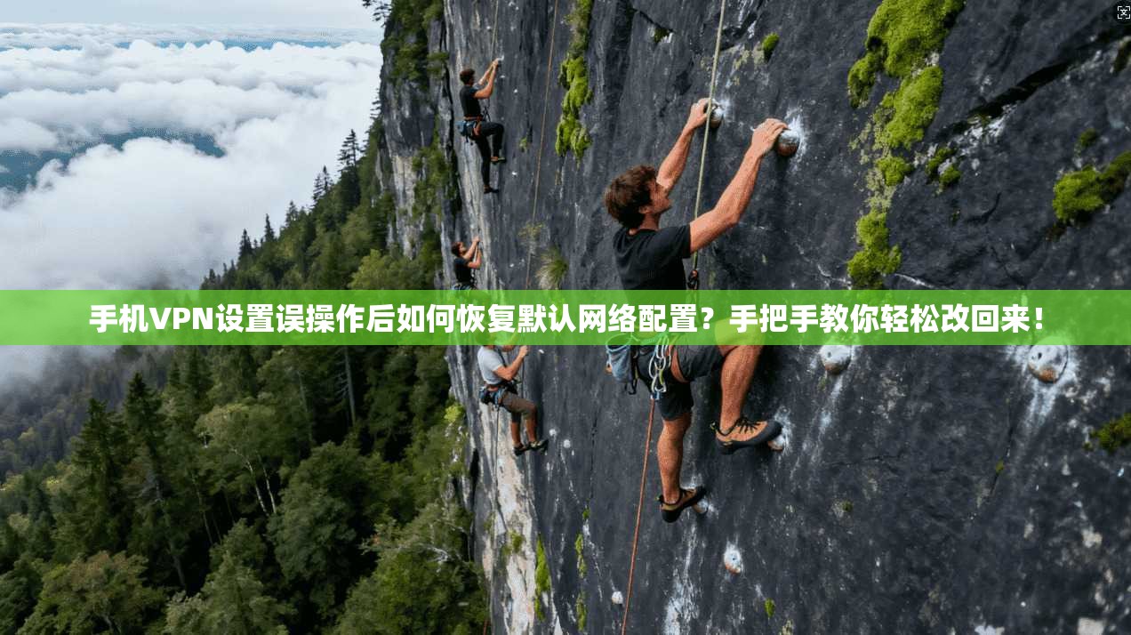 手机VPN设置误操作后如何恢复默认网络配置?手把手教你轻松改回来!