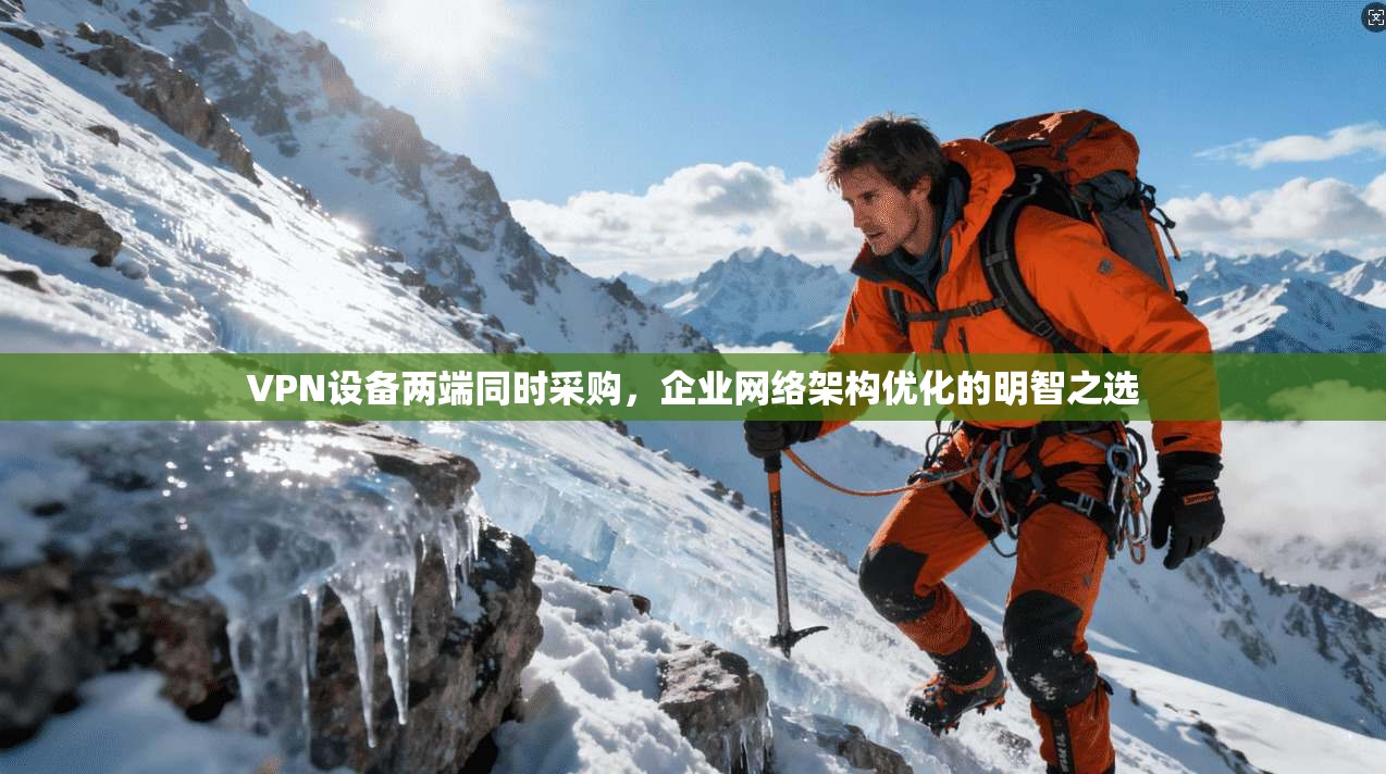 VPN设备两端同时采购，企业网络架构优化的明智之选