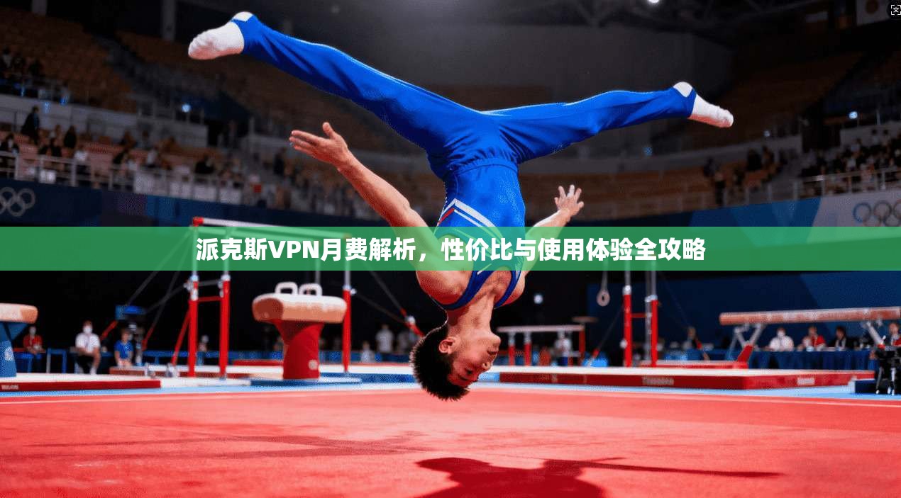 派克斯VPN月费解析，性价比与使用体验全攻略
