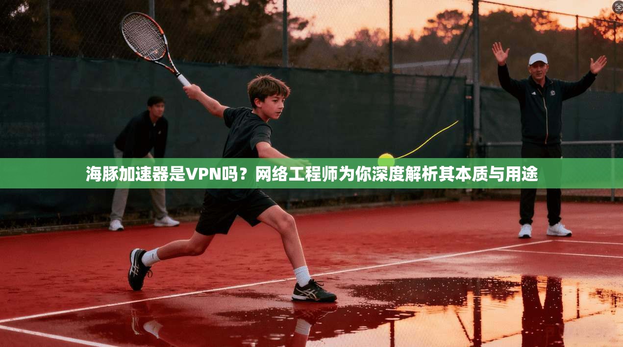 海豚加速器是VPN吗？网络工程师为你深度解析其本质与用途
