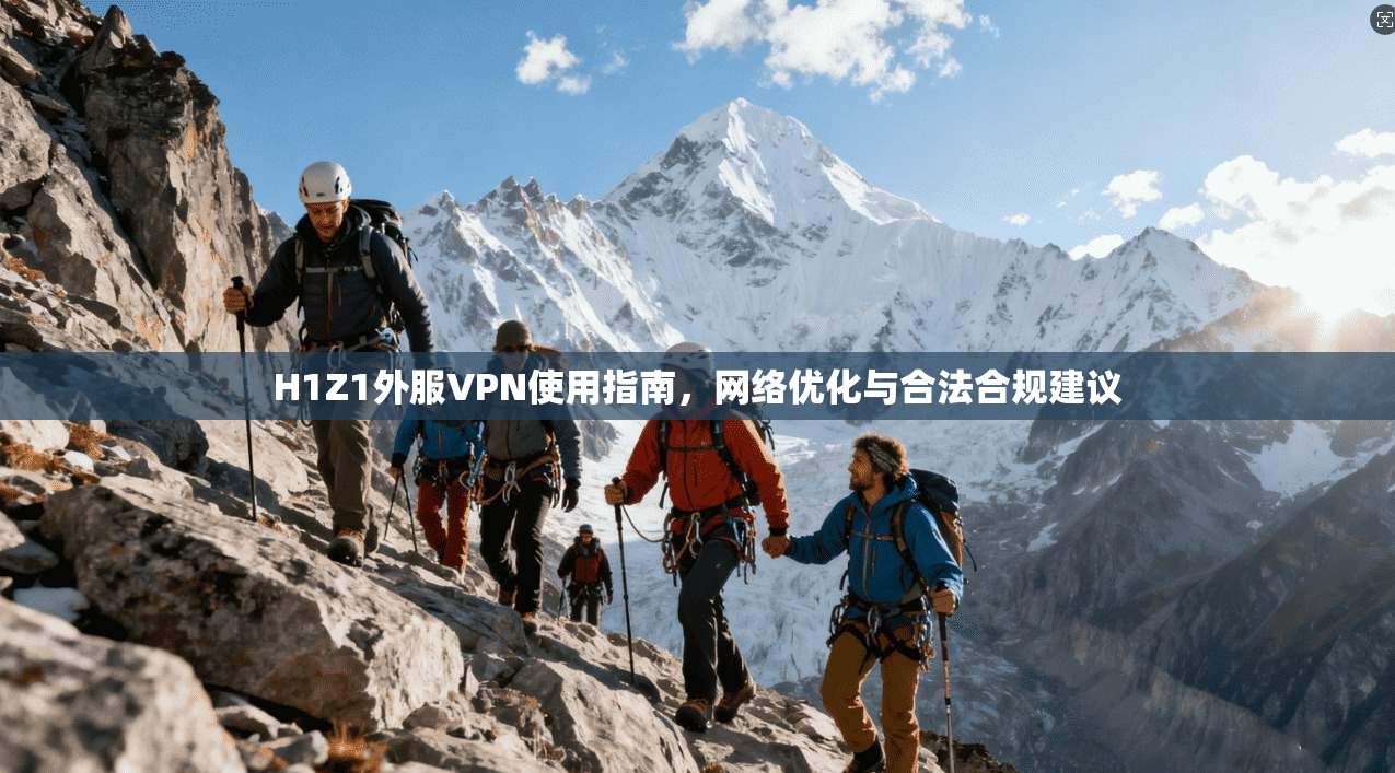 H1Z1外服VPN使用指南，网络优化与合法合规建议
