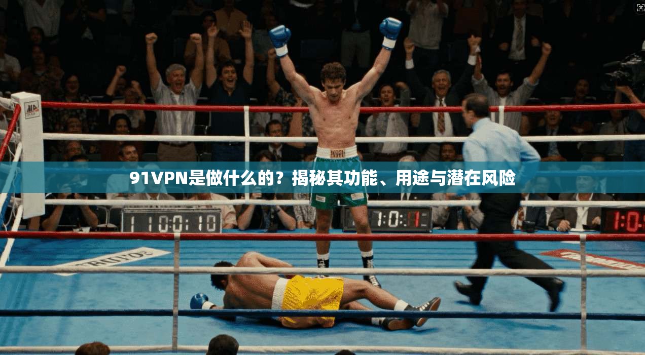 91VPN是做什么的?揭秘其功能、用途与潜在风险