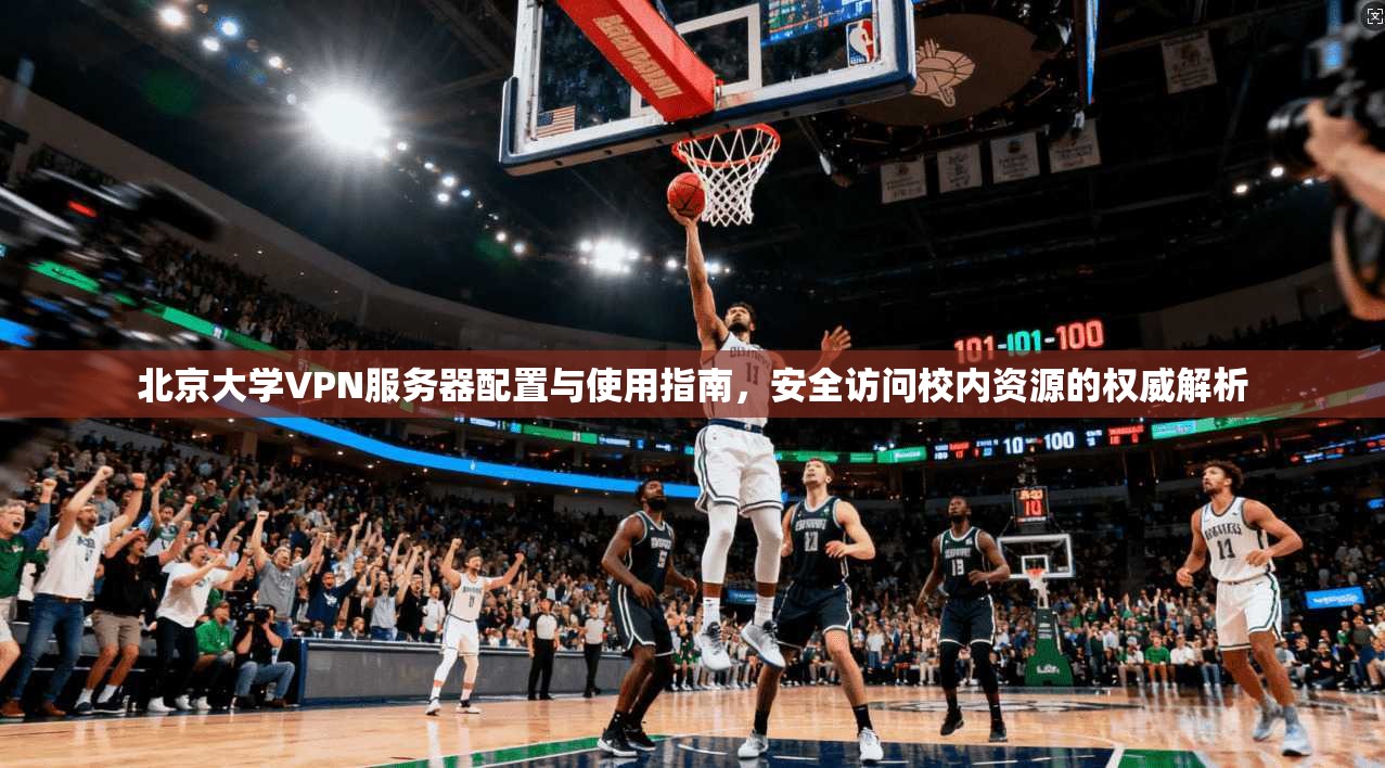 北京大学VPN服务器配置与使用指南，安全访问校内资源的权威解析