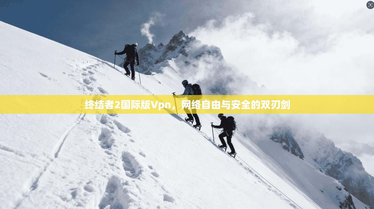 终结者2国际版Vpn,网络自由与安全的双刃剑