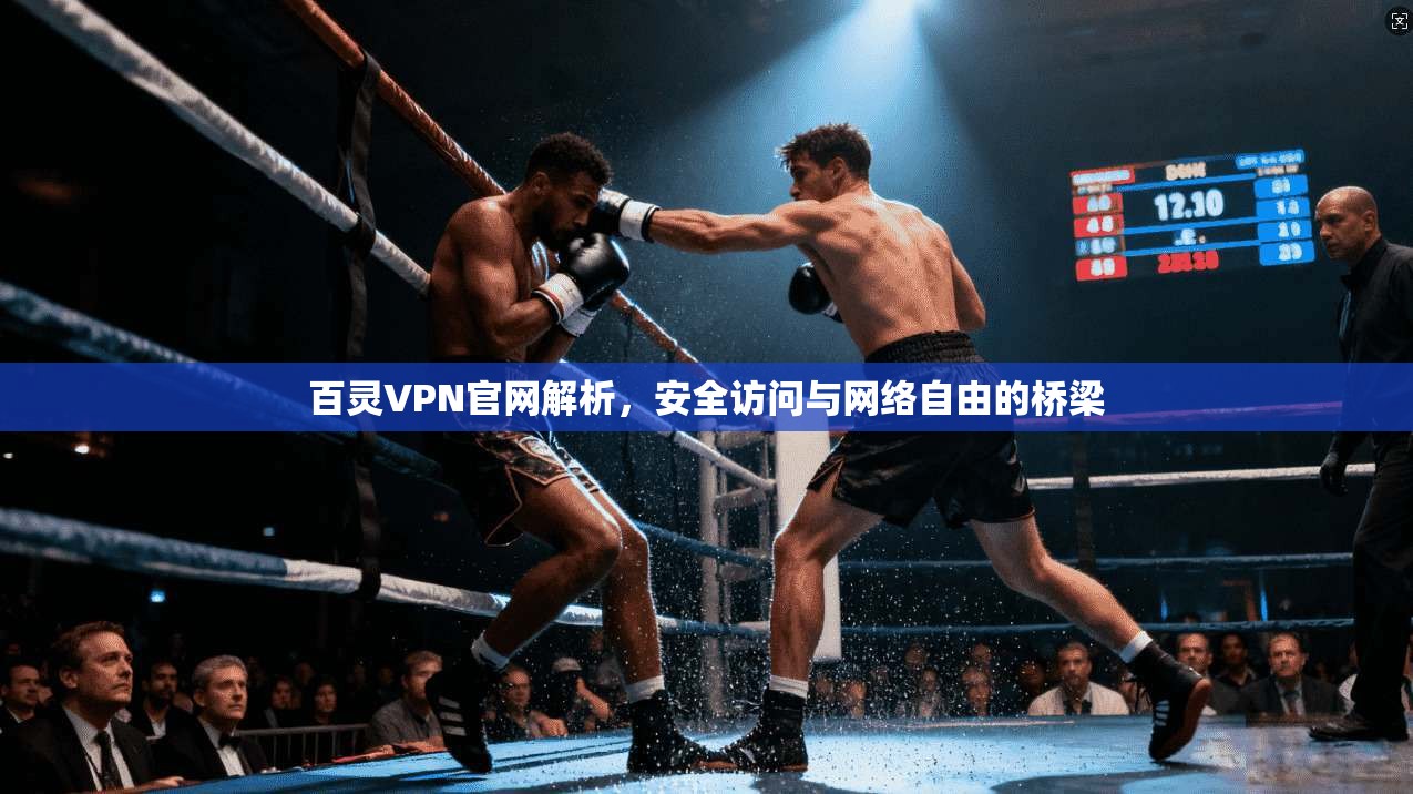 百灵VPN官网解析，安全访问与网络自由的桥梁