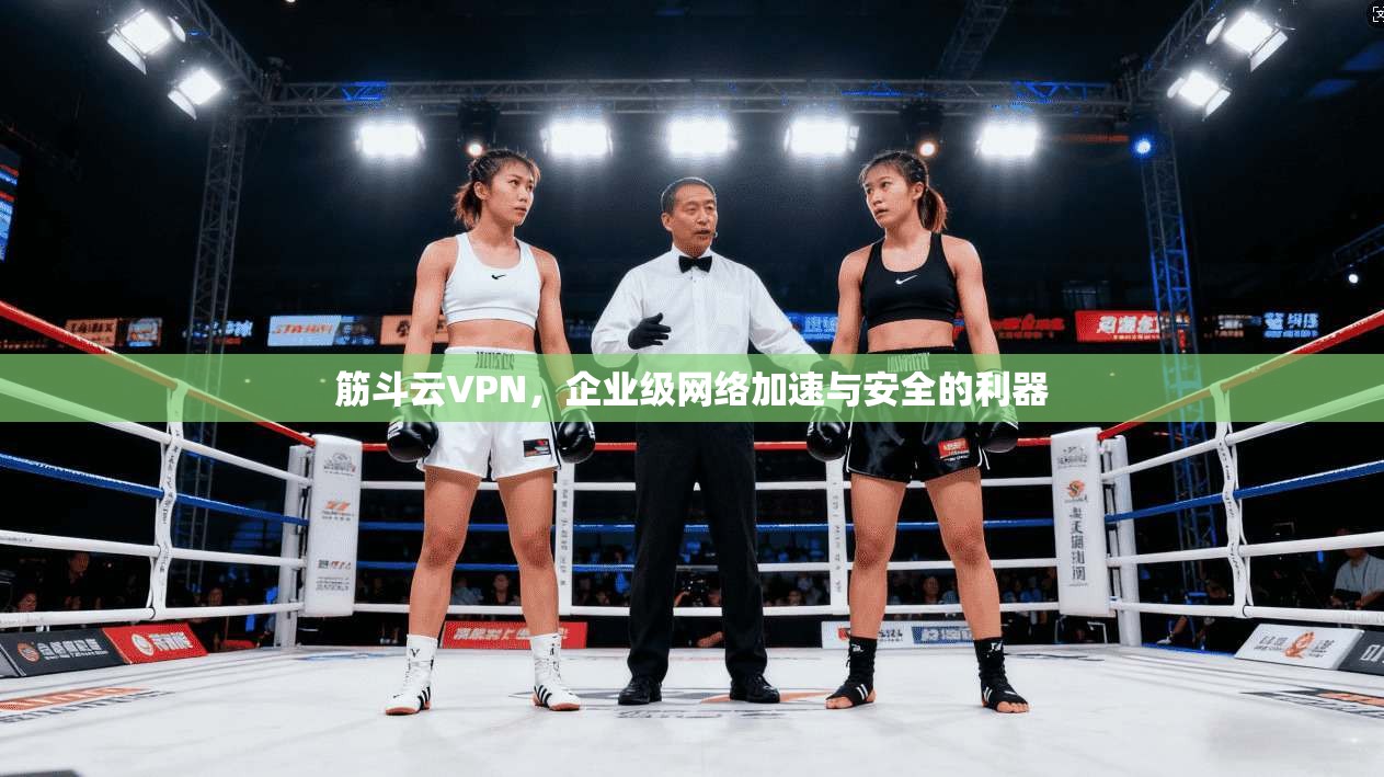 筋斗云VPN,企业级网络加速与安全的利器