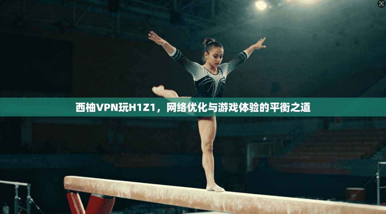 西柚VPN玩H1Z1，网络优化与游戏体验的平衡之道