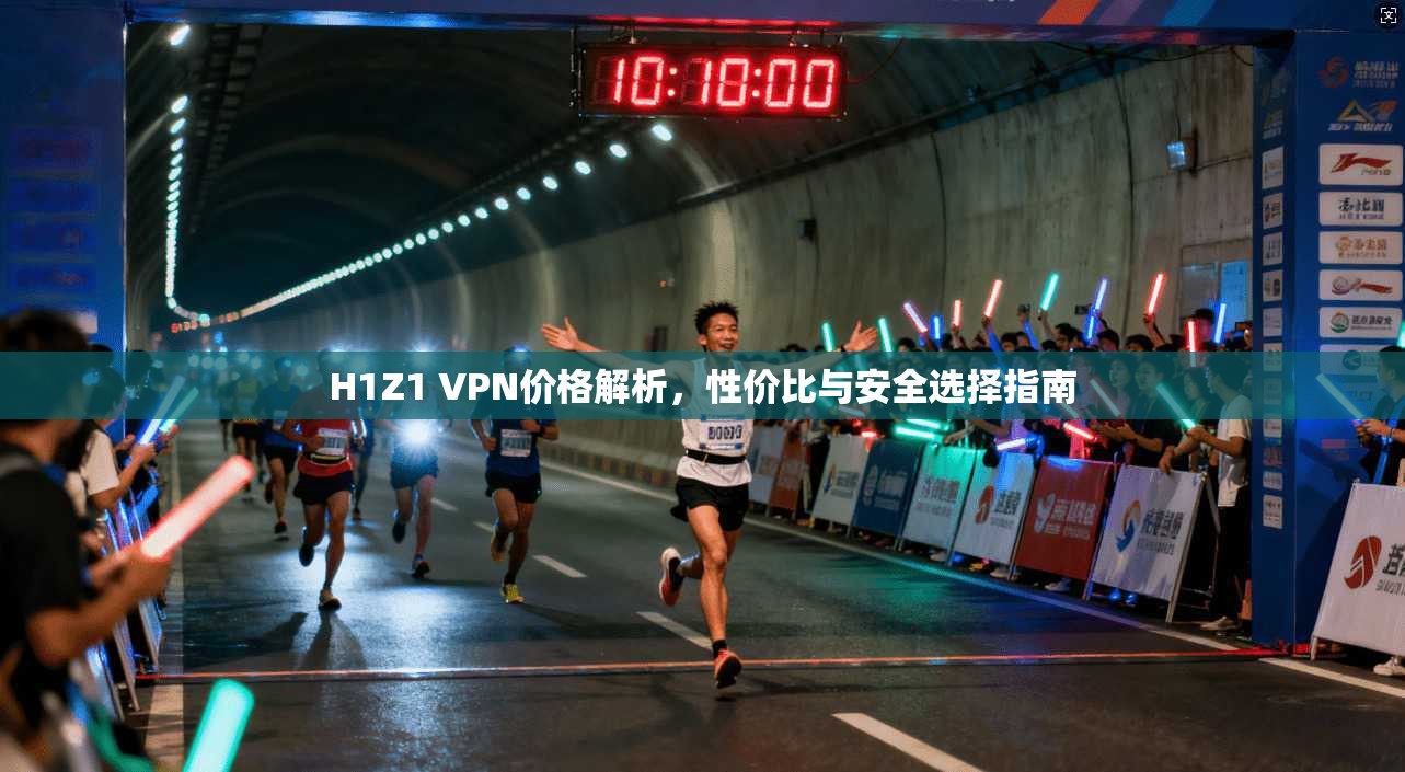 H1Z1 VPN价格解析,性价比与安全选择指南