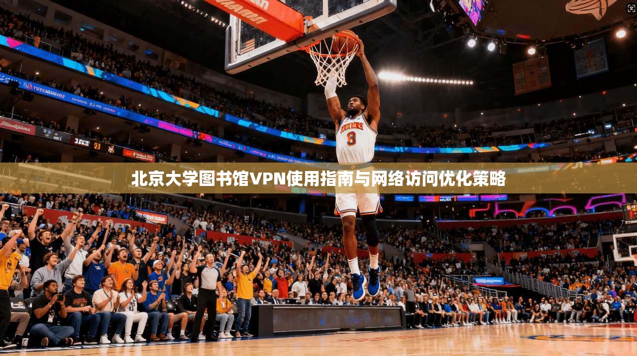 北京大学图书馆VPN使用指南与网络访问优化策略