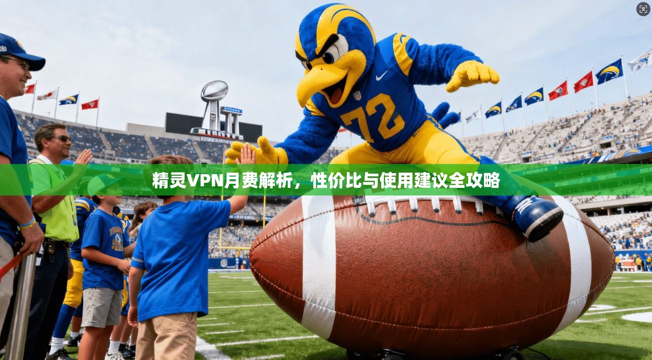 精灵VPN月费解析,性价比与使用建议全攻略
