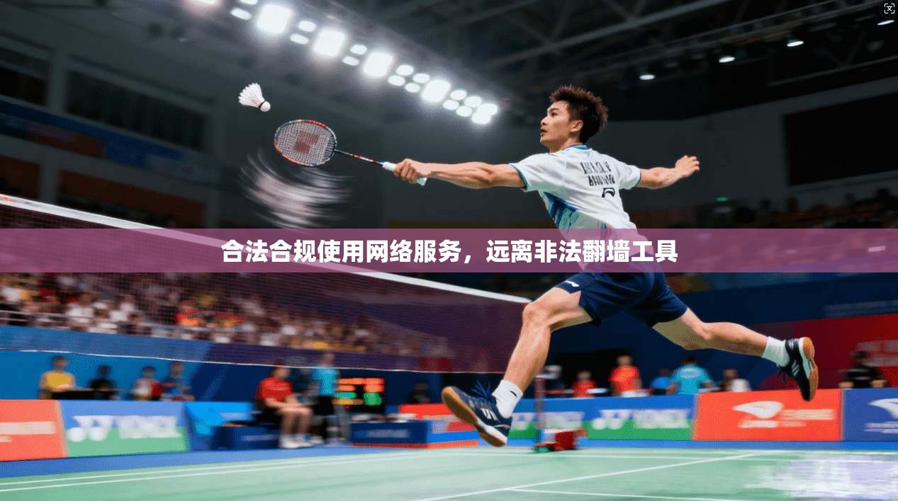 合法合规使用网络服务,远离非法翻墙工具