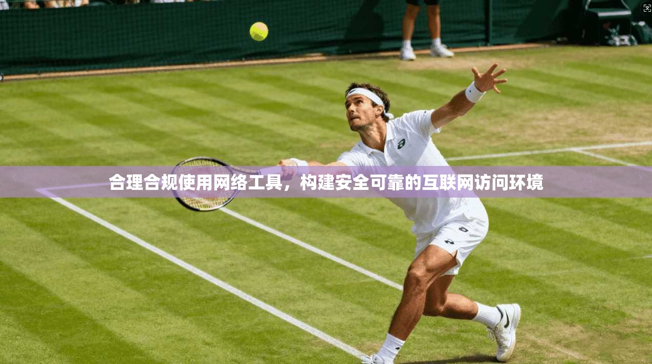 合理合规使用网络工具,构建安全可靠的互联网访问环境