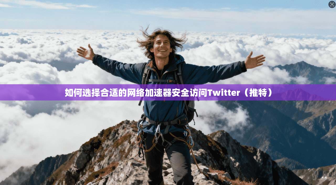 如何选择合适的网络加速器安全访问Twitter(推特)
