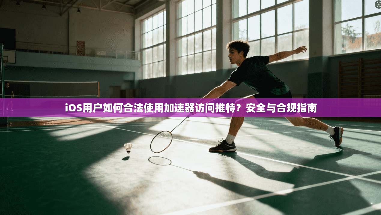 iOS用户如何合法使用加速器访问推特?安全与合规指南