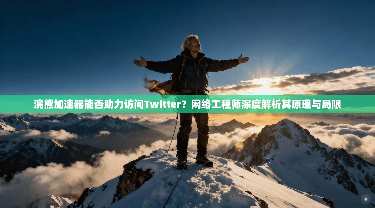 浣熊加速器能否助力访问Twitter？网络工程师深度解析其原理与局限