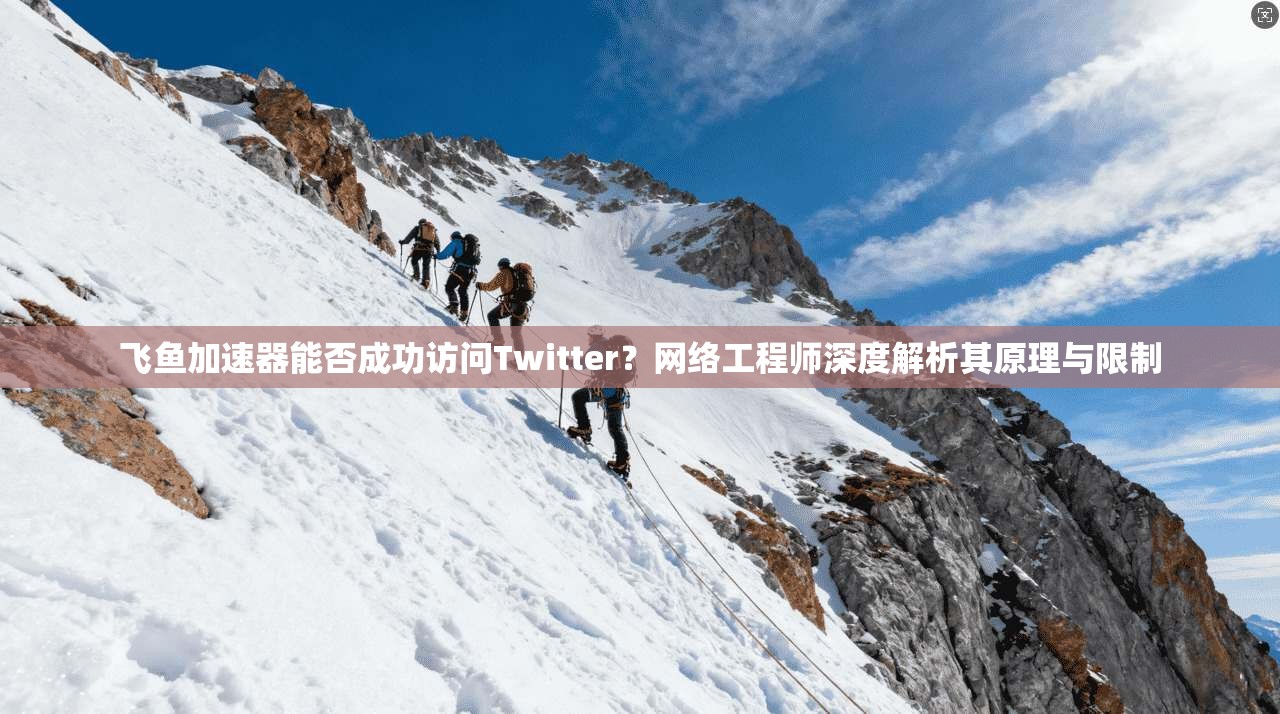 飞鱼加速器能否成功访问Twitter？网络工程师深度解析其原理与限制