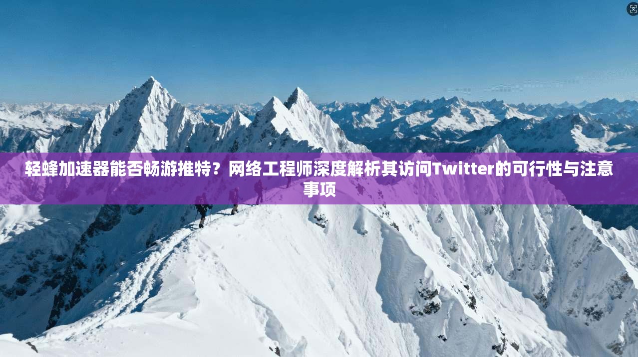 轻蜂加速器能否畅游推特?网络工程师深度解析其访问Twitter的可行性与注意事项