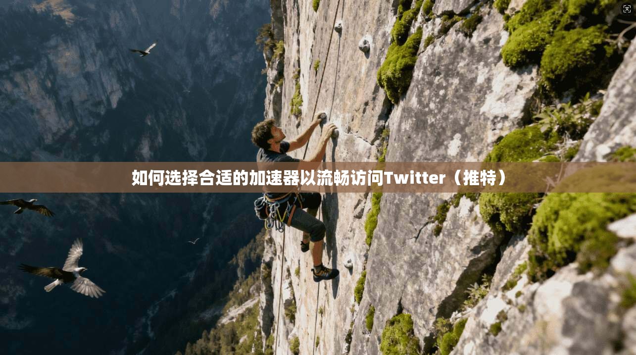 如何选择合适的加速器以流畅访问Twitter(推特)