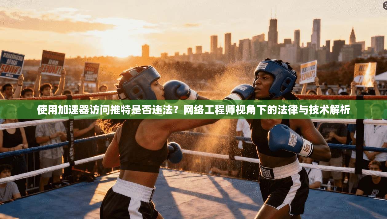 使用加速器访问推特是否违法?网络工程师视角下的法律与技术解析