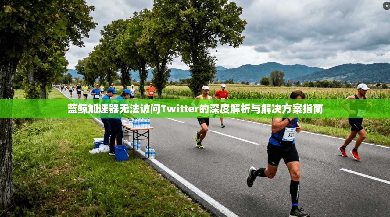 蓝鲸加速器无法访问Twitter的深度解析与解决方案指南