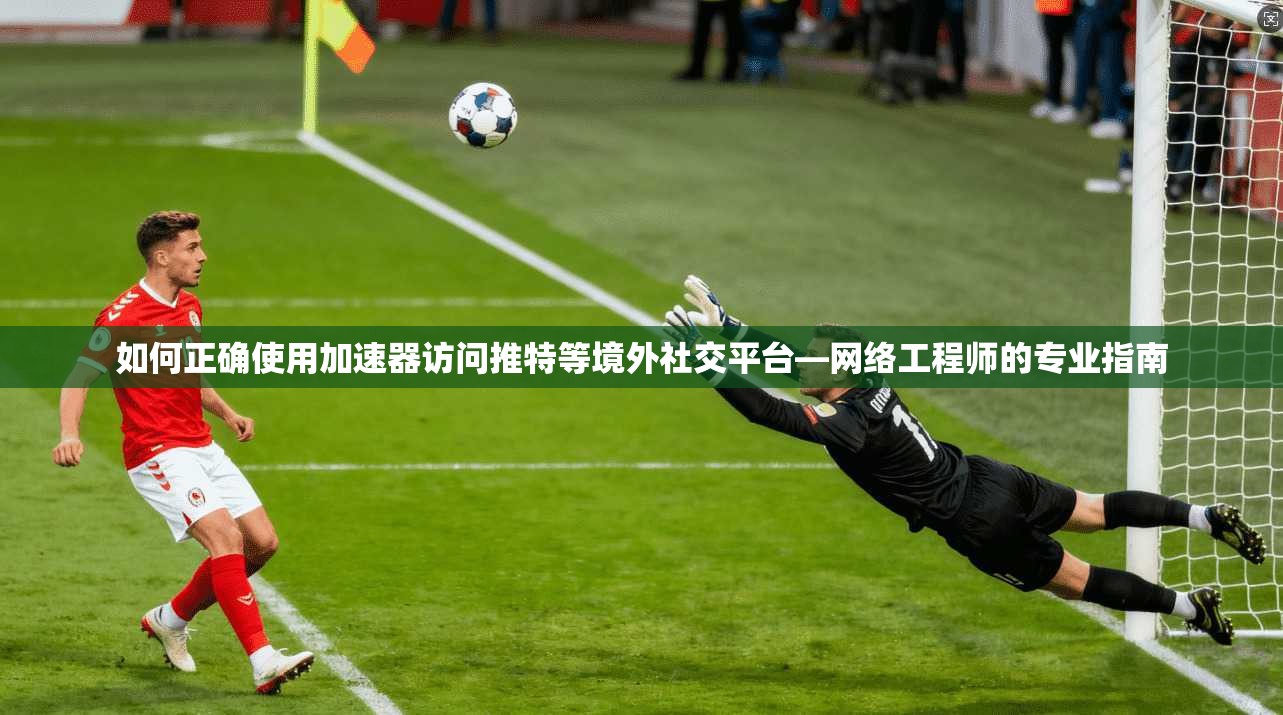 如何正确使用加速器访问推特等境外社交平台—网络工程师的专业指南
