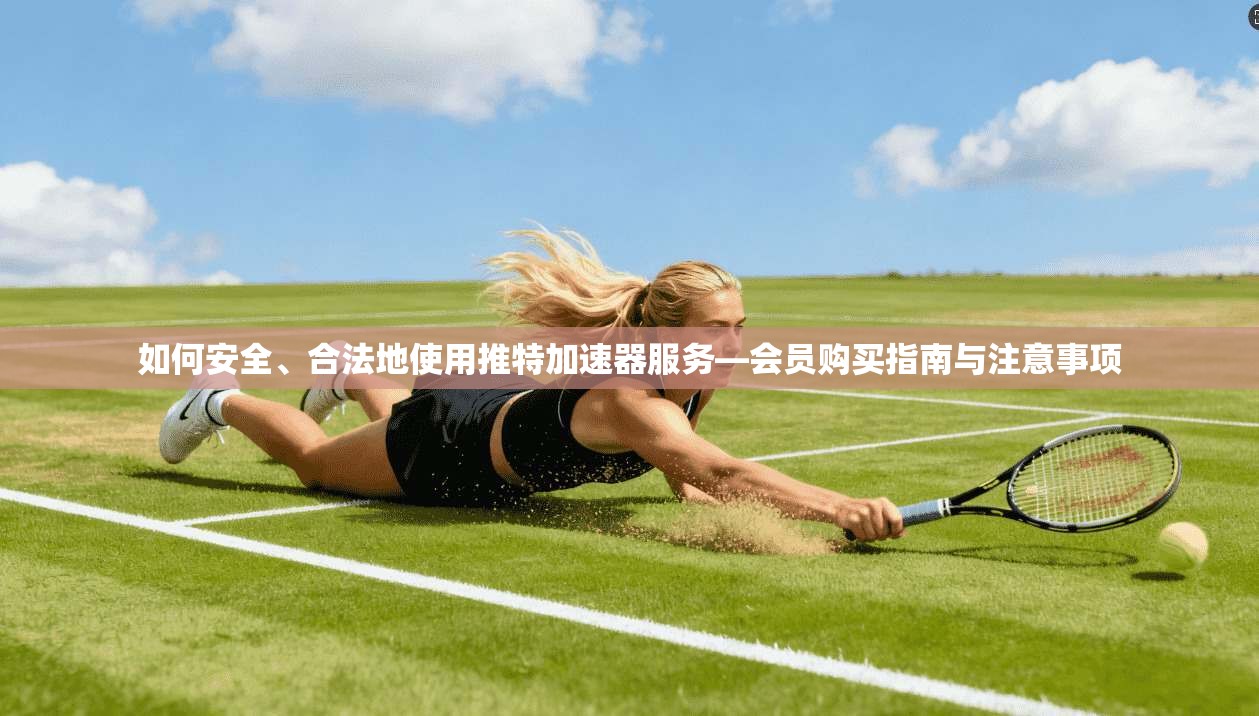 如何安全、合法地使用推特加速器服务—会员购买指南与注意事项