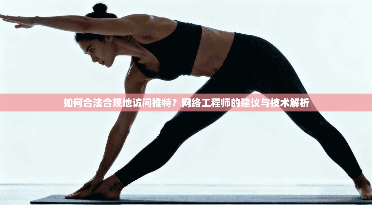 如何合法合规地访问推特？网络工程师的建议与技术解析