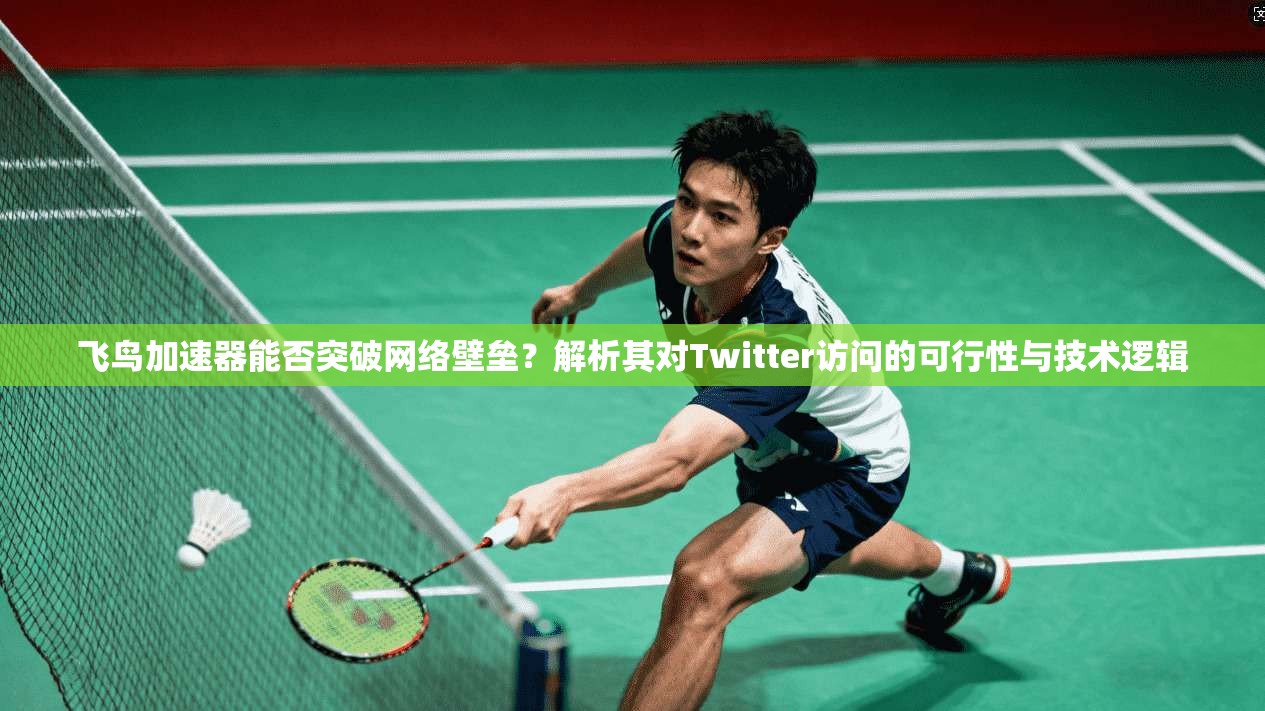 飞鸟加速器能否突破网络壁垒？解析其对Twitter访问的可行性与技术逻辑