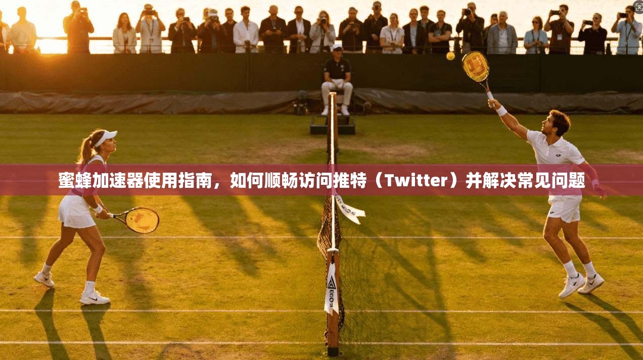 蜜蜂加速器使用指南,如何顺畅访问推特(Twitter)并解决常见问题