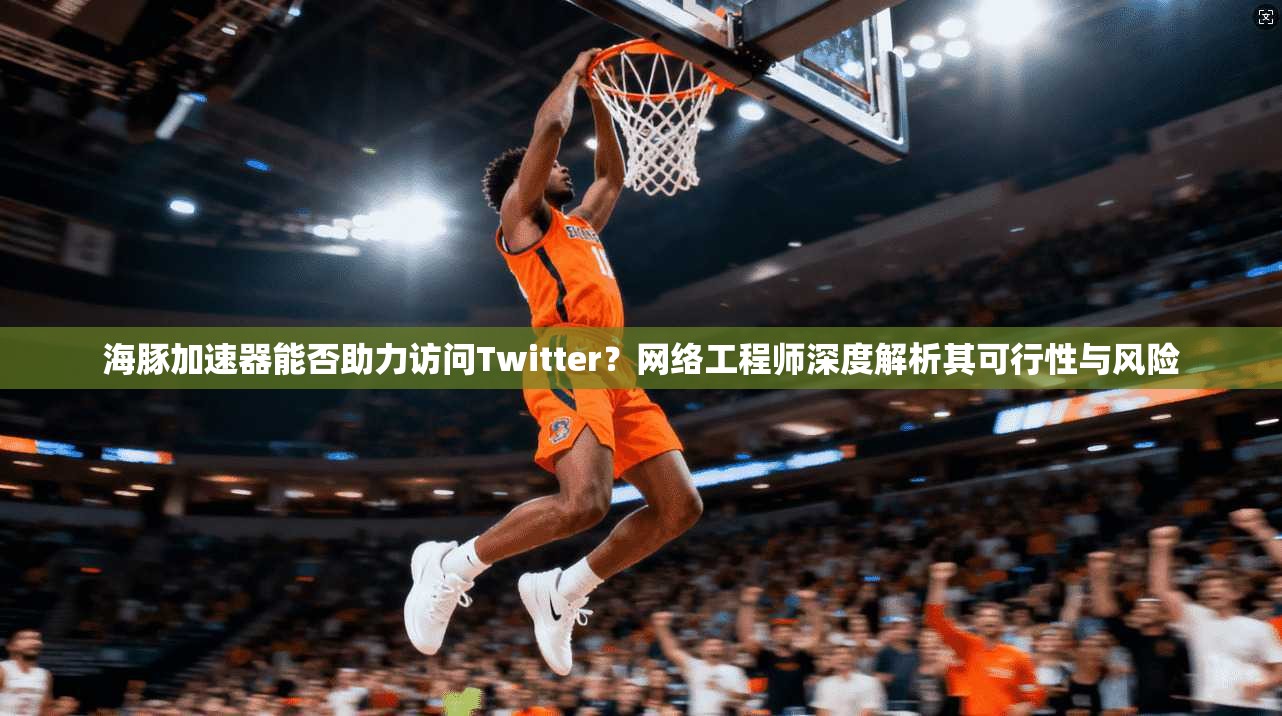 海豚加速器能否助力访问Twitter?网络工程师深度解析其可行性与风险