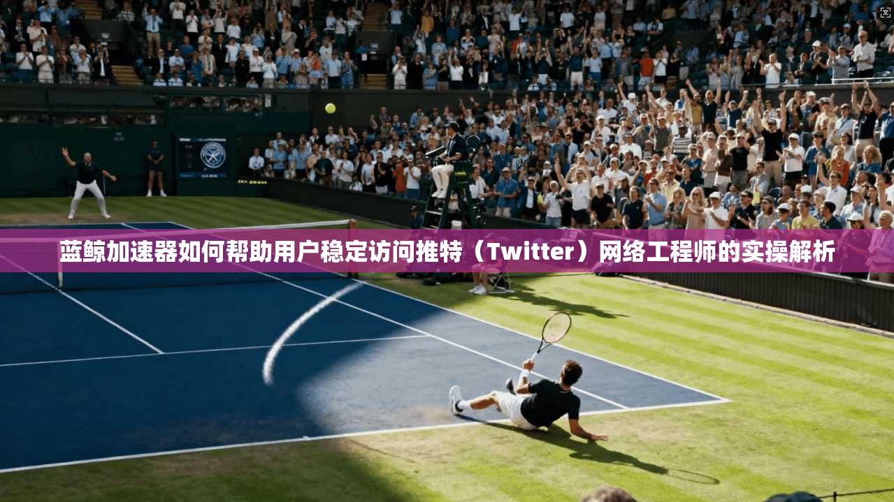蓝鲸加速器如何帮助用户稳定访问推特（Twitter）网络工程师的实操解析