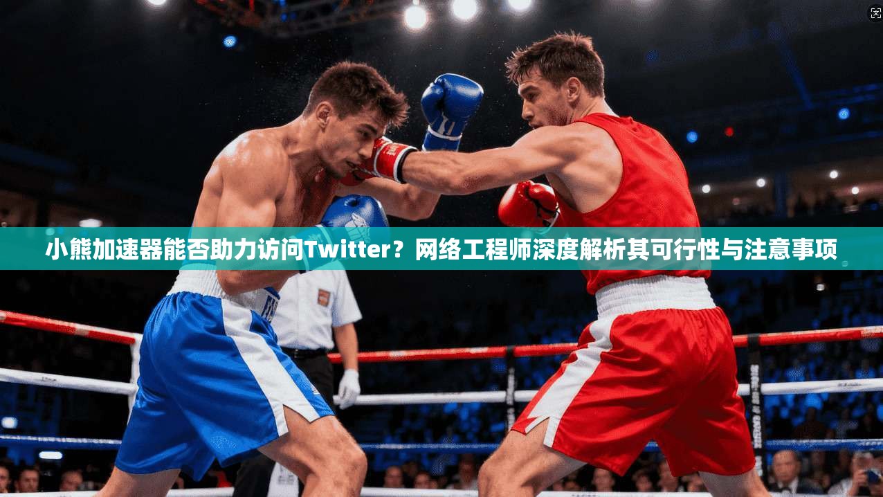 小熊加速器能否助力访问Twitter?网络工程师深度解析其可行性与注意事项