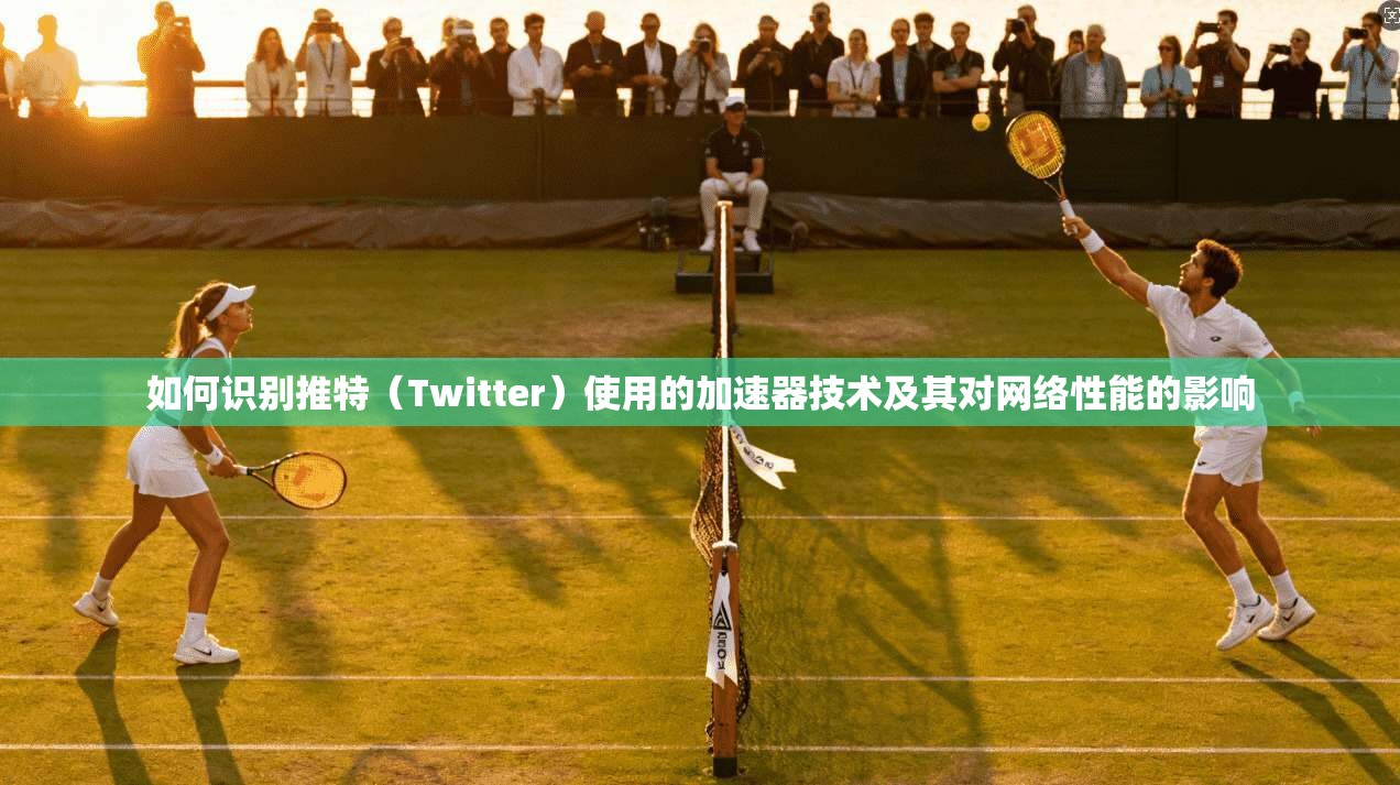 如何识别推特（Twitter）使用的加速器技术及其对网络性能的影响